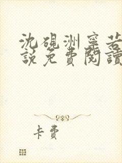 沈砚洲宁若曦小说免费阅读最新章节