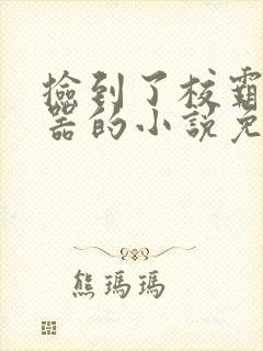 捡到了校霸遥控器的小说免费阅读