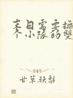 末日需要抚慰整个小队的双男主小说