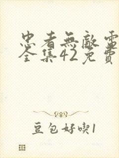 忠者无敌电视剧全集42免费观看封面