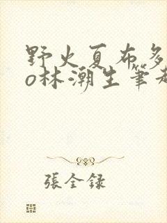 野火夏布多昂po林潮生笔趣阁