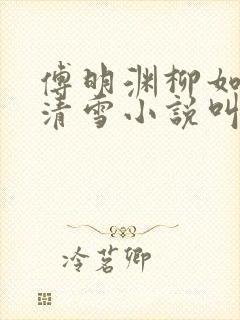 傅明渊柳如嫣林清雪小说叫什么名字