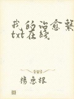 我的治愈系游戏txt在线