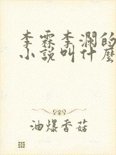 李霖李澜的官场小说叫什么名字啊