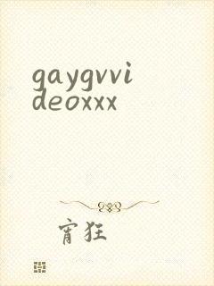 gaygvvideoxxx