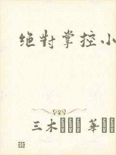 绝对掌控小说封面