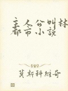 主人公叫林默的都市小说