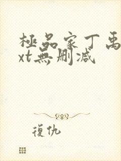 极品家丁禹岩txt无删减