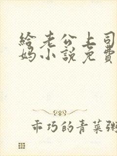 给老公上司当奶妈小说免费阅读全文