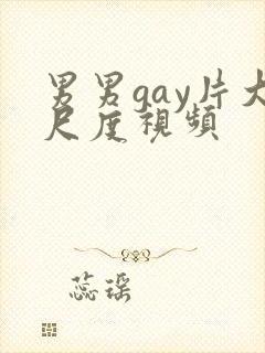 男男gay片大尺度视频