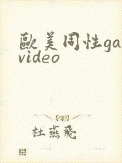 欧美同性gayvideo
