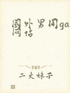 国外男同gay网站