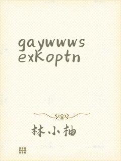 gaywwwsexkoptn封面