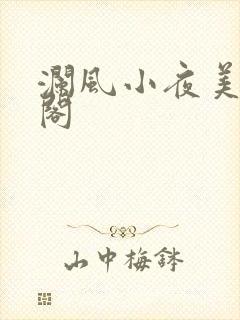 澜风小夜美笔趣阁