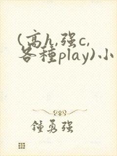 (高h,强c,各种play)小说