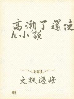 高潮了还使劲顶h小说