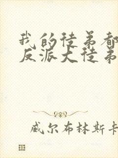 我的徒弟都是大反派大徒弟