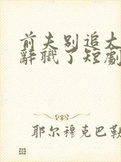 前夫别追大小姐辞职了短剧免费观看