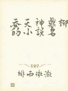 吞天神鼎柳无邪的小说名
