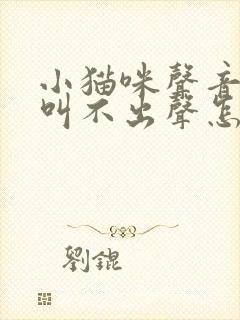 小猫咪声音沙哑叫不出声怎么回事儿封面