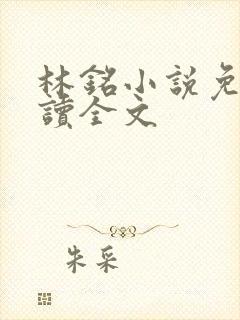林铭小说免费阅读全文
