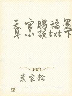 天官赐福墨香铜臭小说txt下载