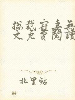 总裁宠妻无度全文免费阅读