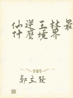 仙逆王林最后是什么境界