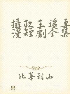 摄政王追妻路漫漫短剧全集免费观看