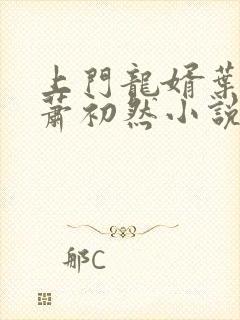 上门龙婿叶辰和萧初然小说