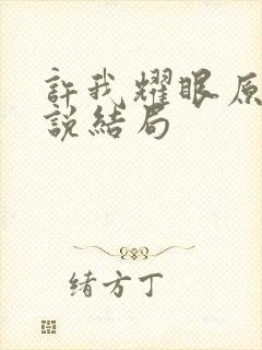 许我耀眼原著小说结局封面