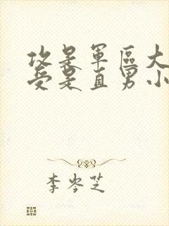 攻是军区大佬,受是直男小说