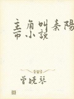 主角叫秦阳的都市小说封面