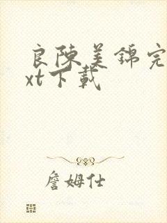 良陈美锦完本txt下载