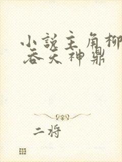 小说主角柳无邪 吞天神鼎