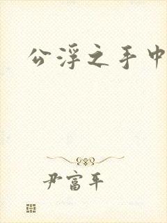 公浮之手中字5封面