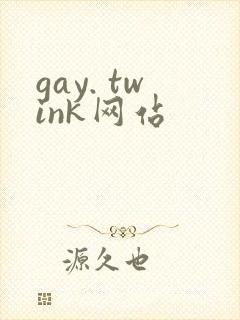 gay. twink网站