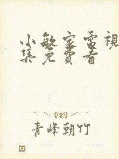 小敏家电视剧全集免费看