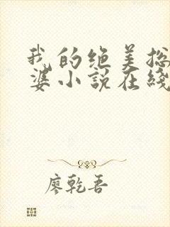 我的绝美总裁老婆小说在线阅读