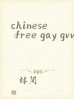 chinese free gay gvvideo