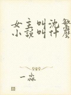 女主叫沈繁星的小说叫什么名字