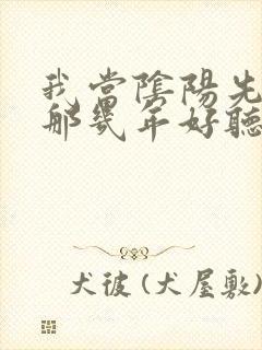 我当阴阳先生的那几年好听吗