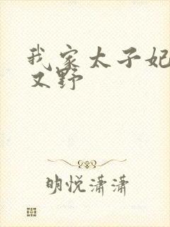 我家太子妃又凶又野