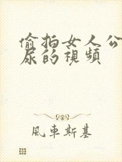 偷拍女人公厕尿尿的视频