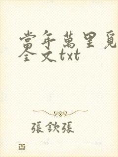 当年万里觅封侯全文txt