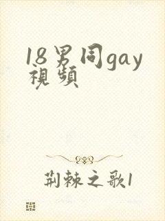 18男同gay视频封面