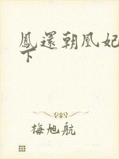 凤还朝凰妃祸天下