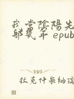 我当阴阳先生的那几年 epub