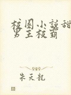 校园小说甜宠文男主校霸