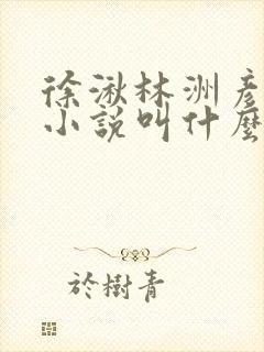 徐湫林洲彦原著小说叫什么